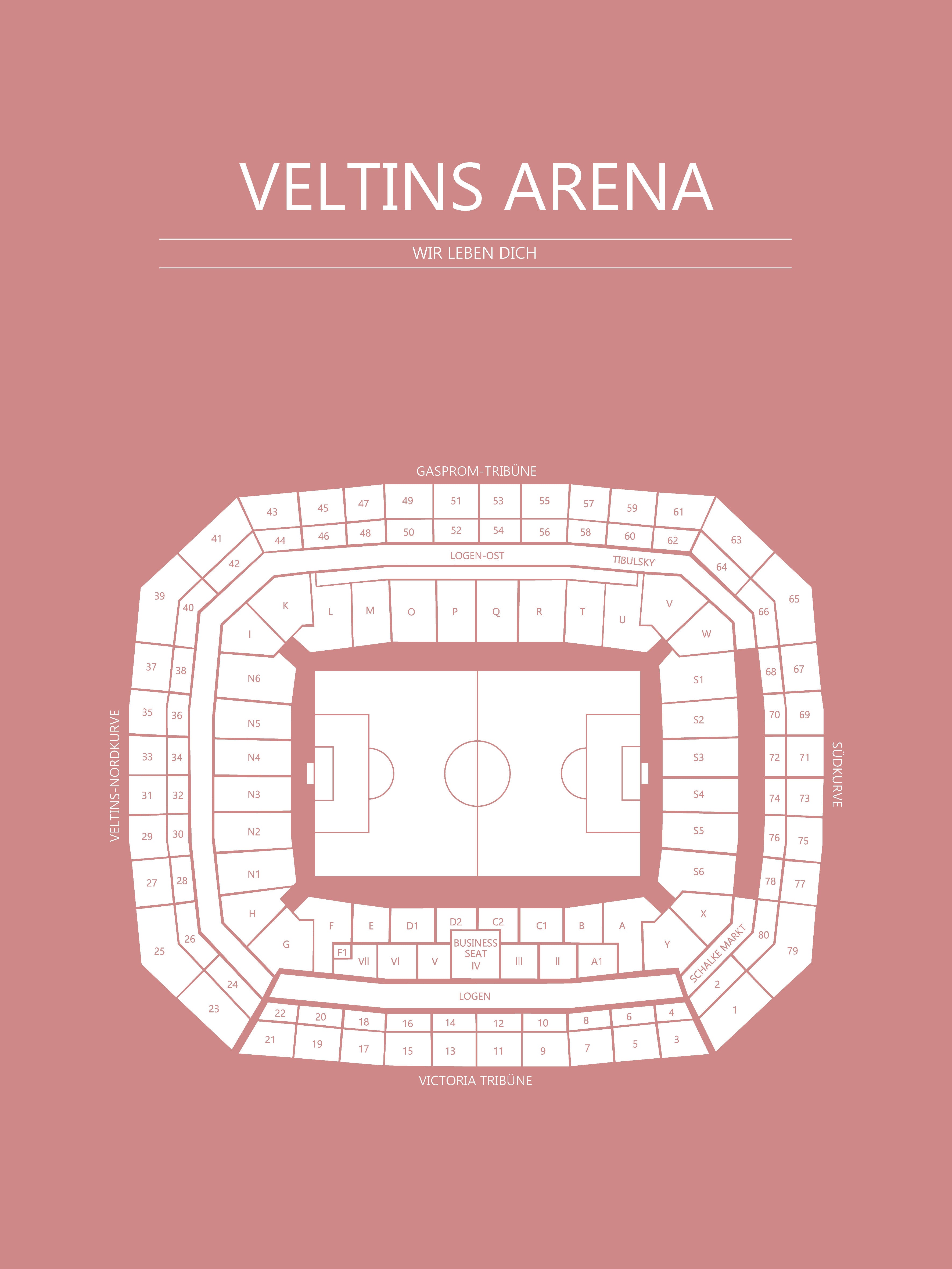 Fodbold plakat Schalke 04 Valtins Arena Blush